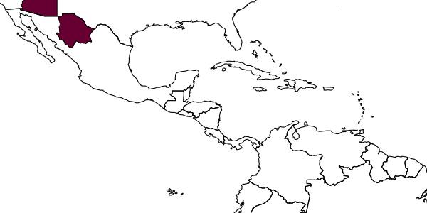 map of Tenthredo ocampa     Ross, 1951